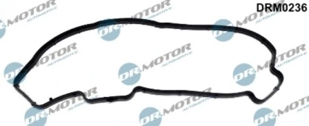 DRM0236 Lizarte