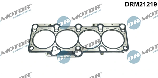 DRM21219 Lizarte