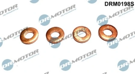 DRM0198S Lizarte