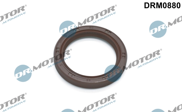 DRM0880 Lizarte