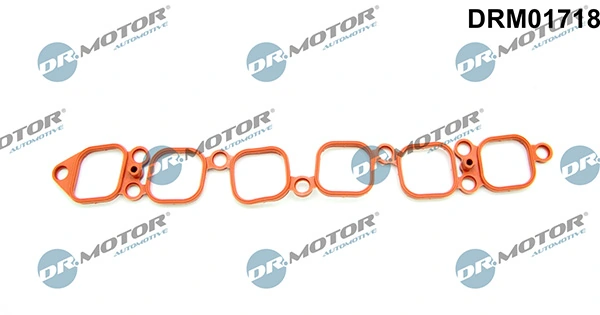 DRM01718 Lizarte