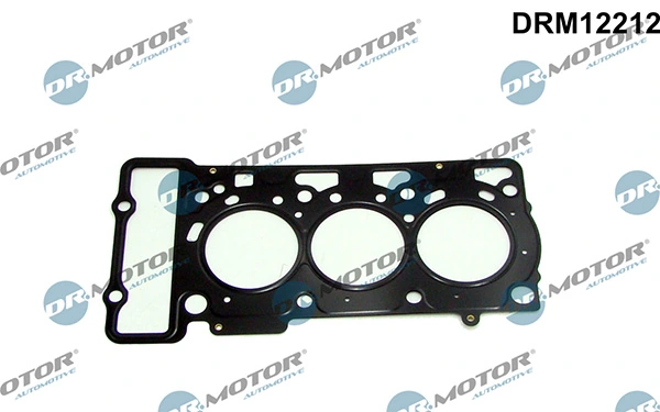 DRM12212 Lizarte