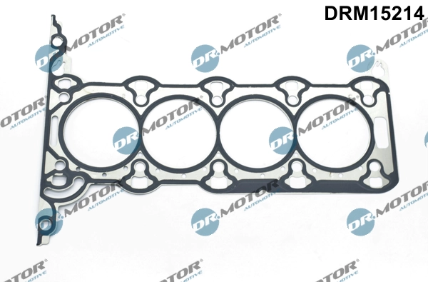 DRM15214 Lizarte