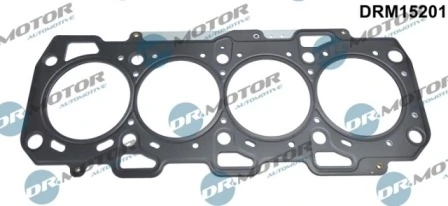 DRM15201 Lizarte