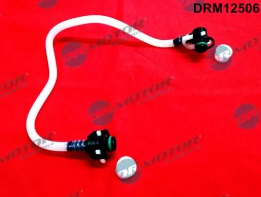 DRM12506 Lizarte