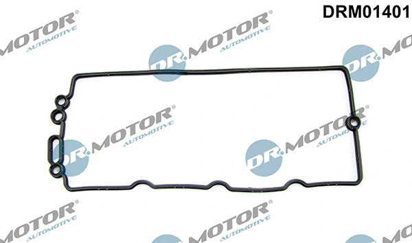 DRM01401 Lizarte