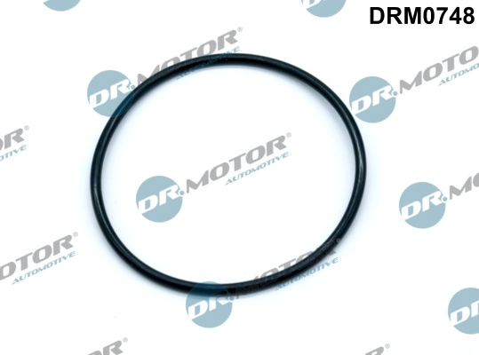 DRM0748 Lizarte