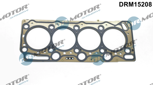 DRM15208 Lizarte