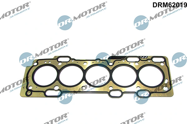 DRM62019 Lizarte