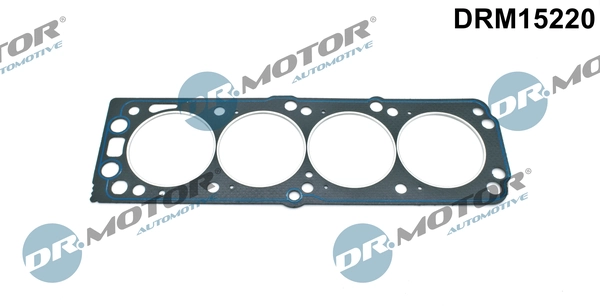 DRM15220 Lizarte