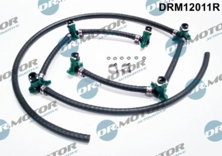 DRM12011R Lizarte
