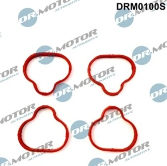 DRM0100S Lizarte