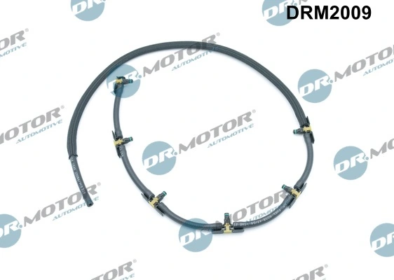 DRM2009 Lizarte