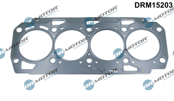 DRM15203 Lizarte