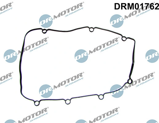 DRM01762 Lizarte