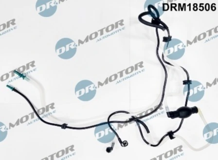 DRM18506 Lizarte