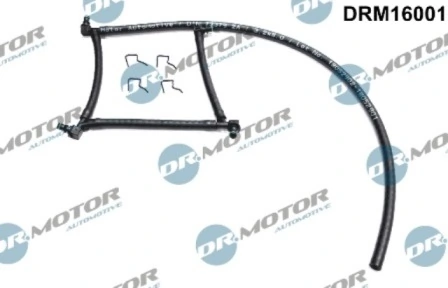 DRM16001 Lizarte