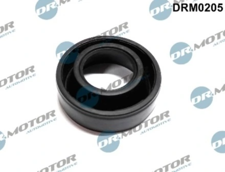 DRM0205 Lizarte