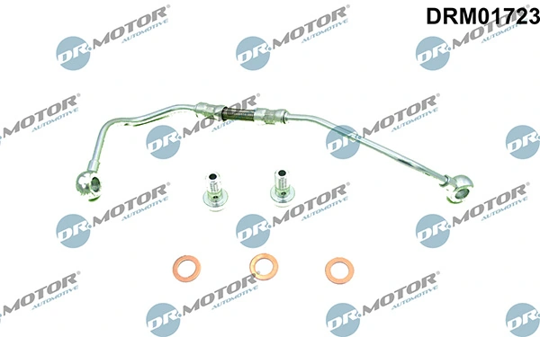 DRM01723 Lizarte