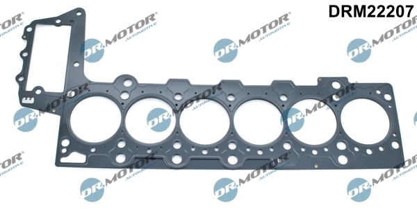 DRM22207 Lizarte