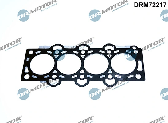 DRM72217 Lizarte