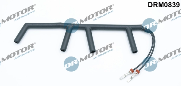 DRM0839 Lizarte