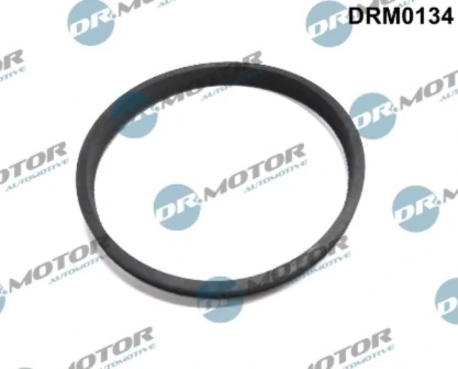 DRM0134 Lizarte