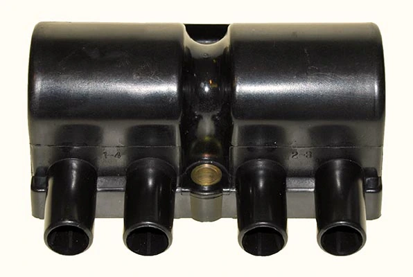 BOBEN019 Lizarte