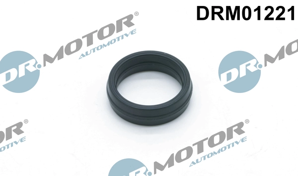 DRM01221 Lizarte