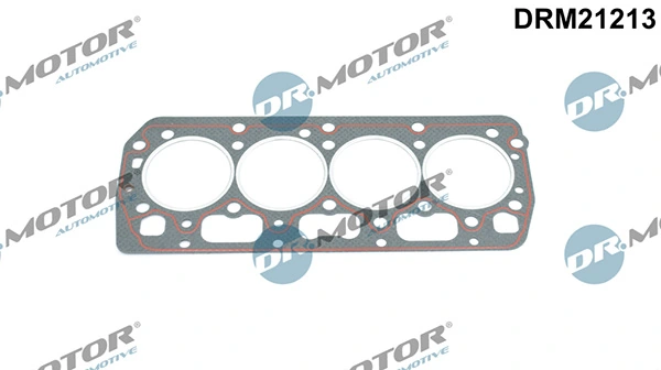 DRM21213 Lizarte