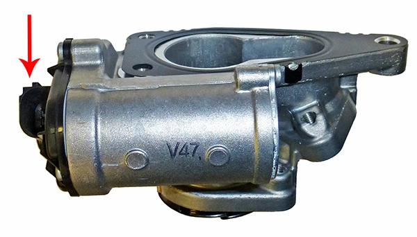 EGR026 Lizarte