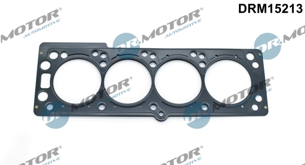 DRM15213 Lizarte