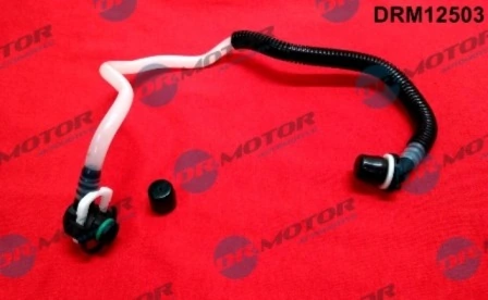 DRM12503 Lizarte
