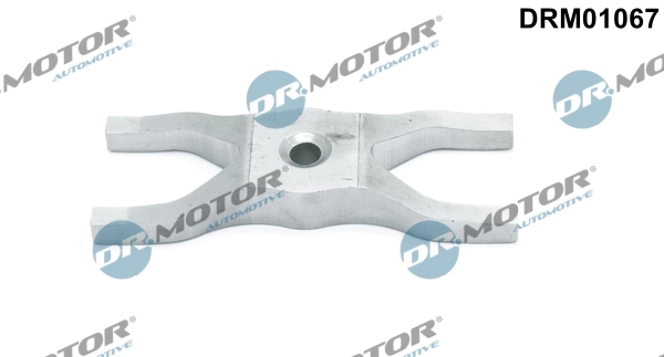 DRM01067 Lizarte
