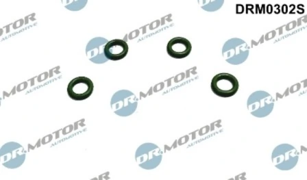 DRM0302S Lizarte