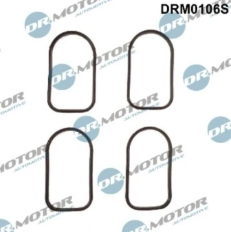 DRM0106S Lizarte
