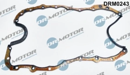 DRM0243 Lizarte