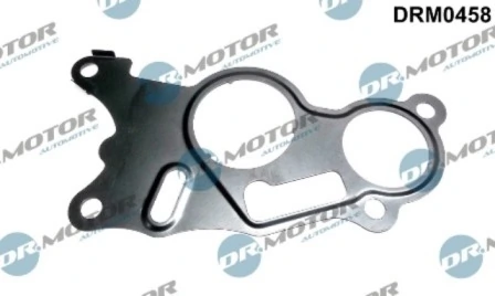 DRM0458 Lizarte