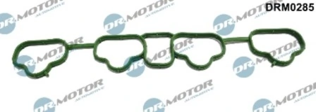 DRM0285 Lizarte