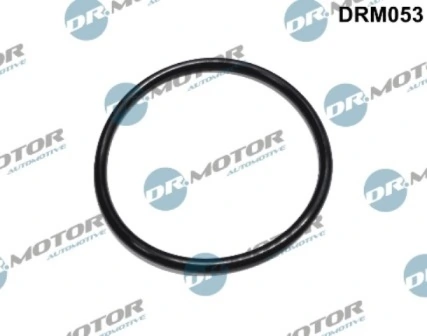 DRM053 Lizarte
