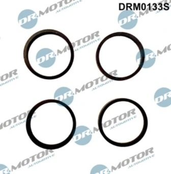 DRM0133S Lizarte