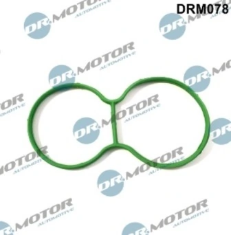 DRM078 Lizarte