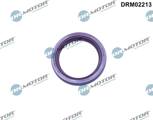 DRM02213 Lizarte