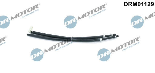 DRM01129 Lizarte