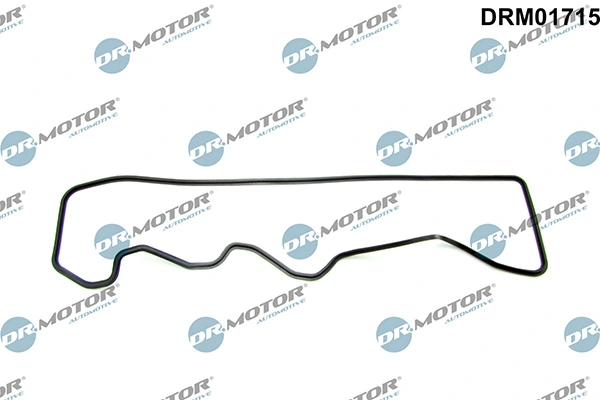 DRM01715 Lizarte