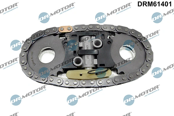 DRM61401 Lizarte