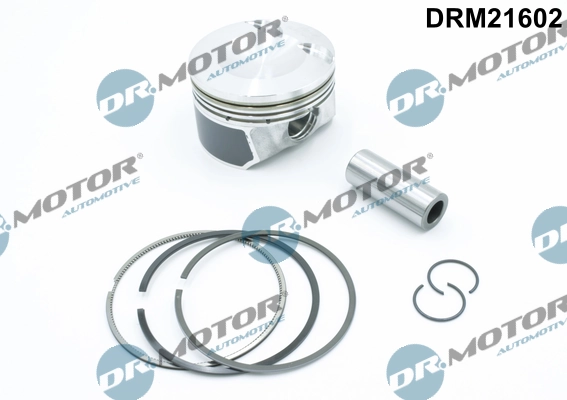 DRM21602 Lizarte