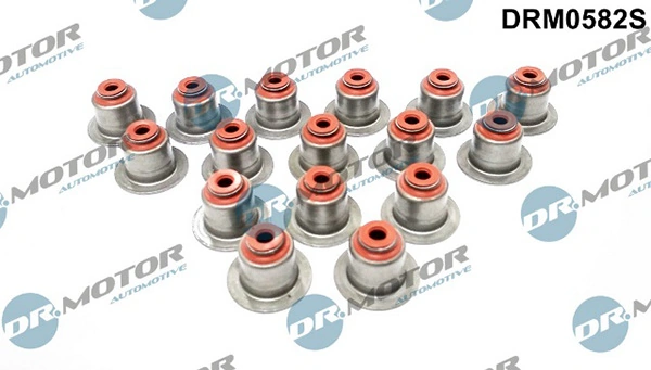 DRM0582S Lizarte