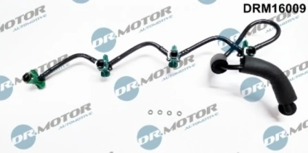 DRM16009 Lizarte