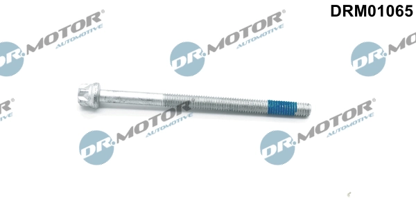 DRM01065 Lizarte